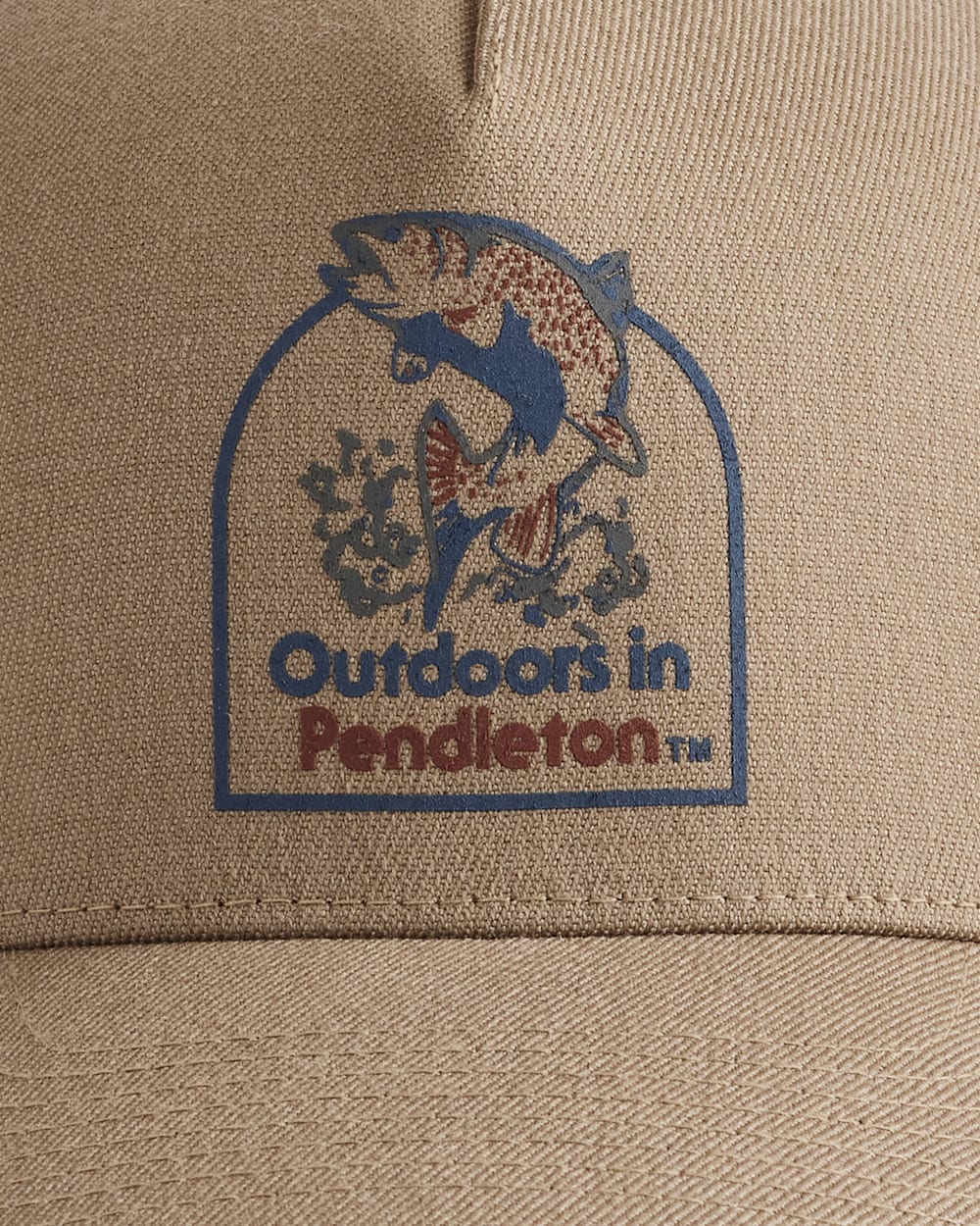 SALMON GRAPHIC HAT<br>TAUPE