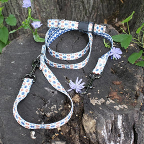ADVENTURE COLLAR<br>FALCON COVE