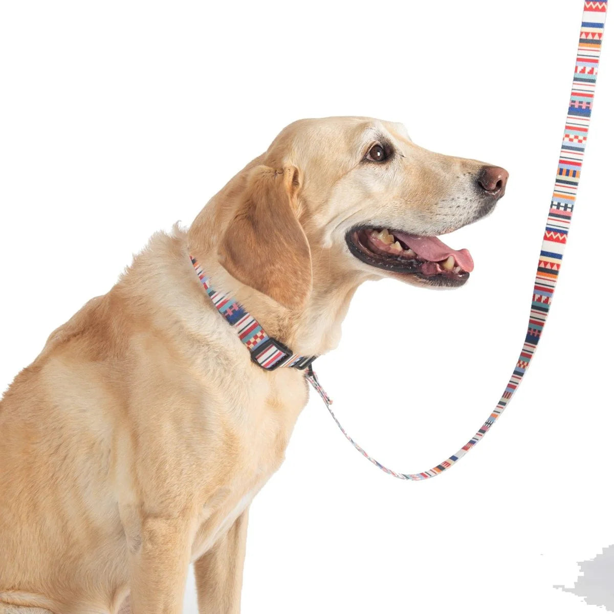 ADVENTURE LEASH<br>TAMIAMI