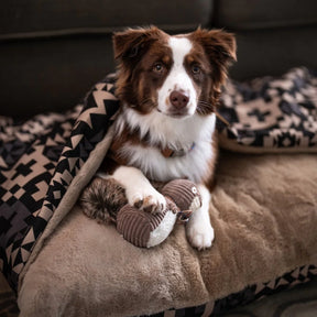 PLUSH DOG TOY<br>SQUIRREL