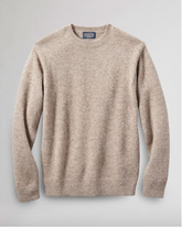 Shetland Crew <br> Coyote